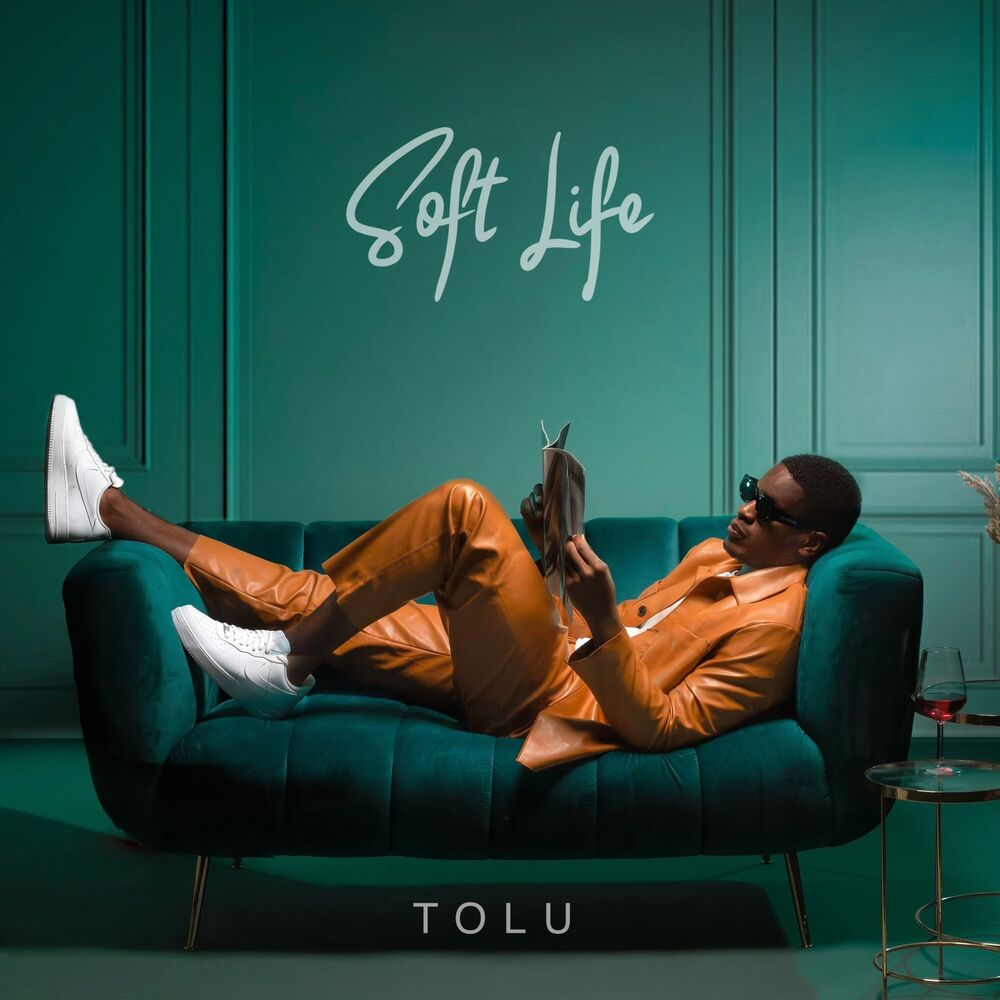 Picture of Soft Life