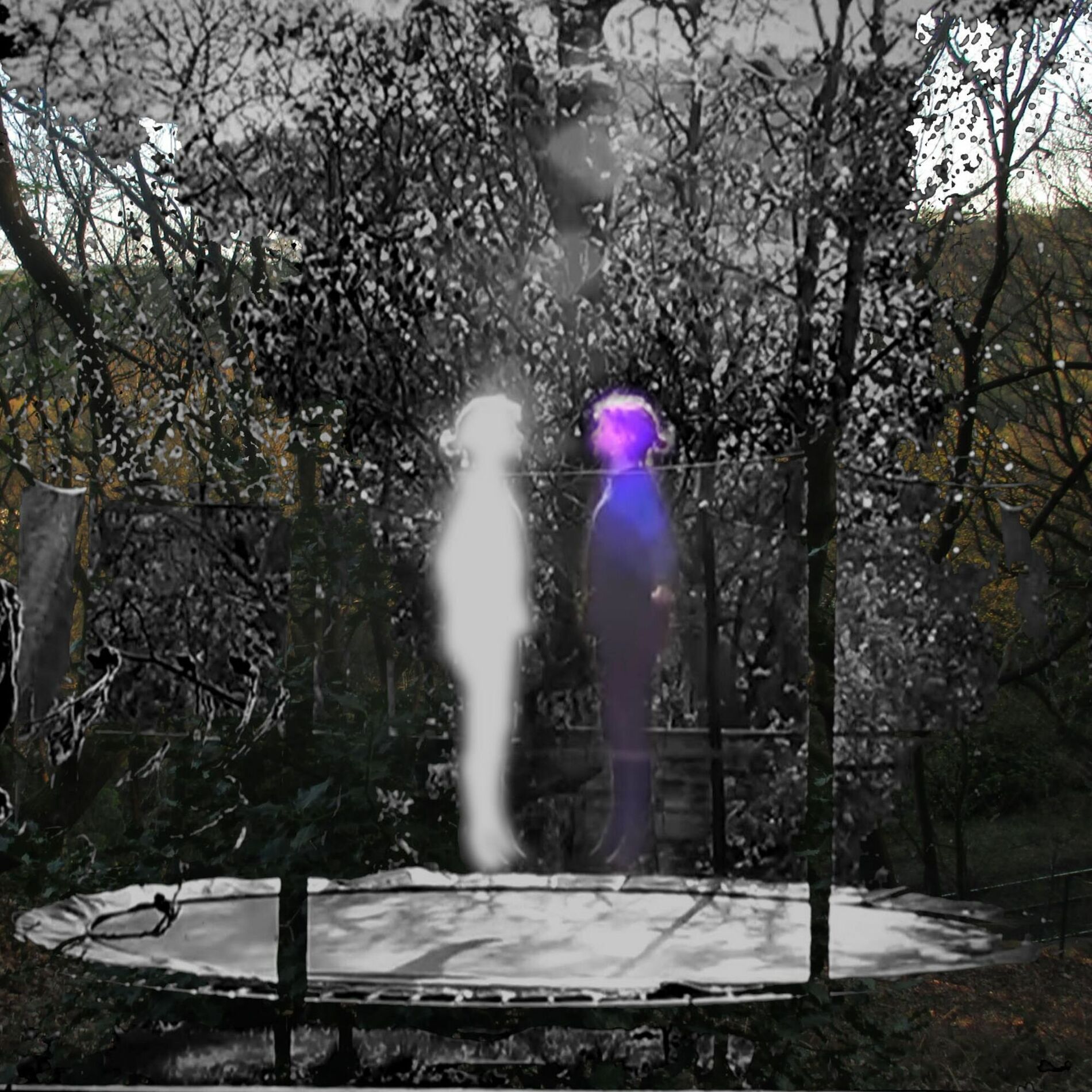 Album cover of Cocoon: Eclosion