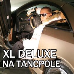 Cover of Na tancpole