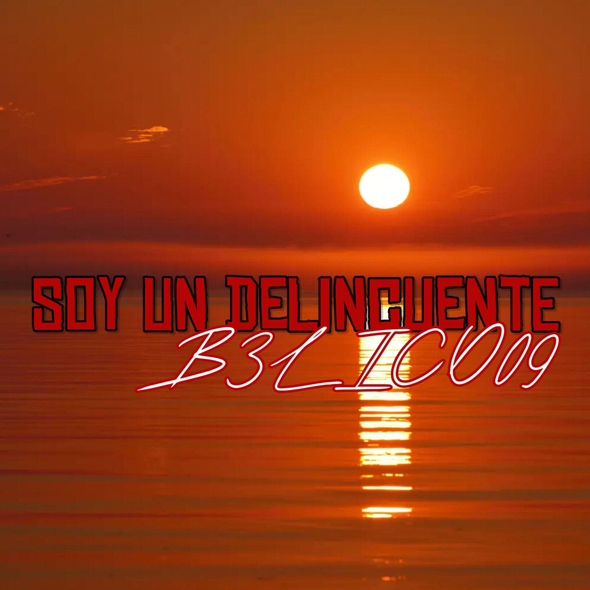 Album cover of Soy un Delincuente