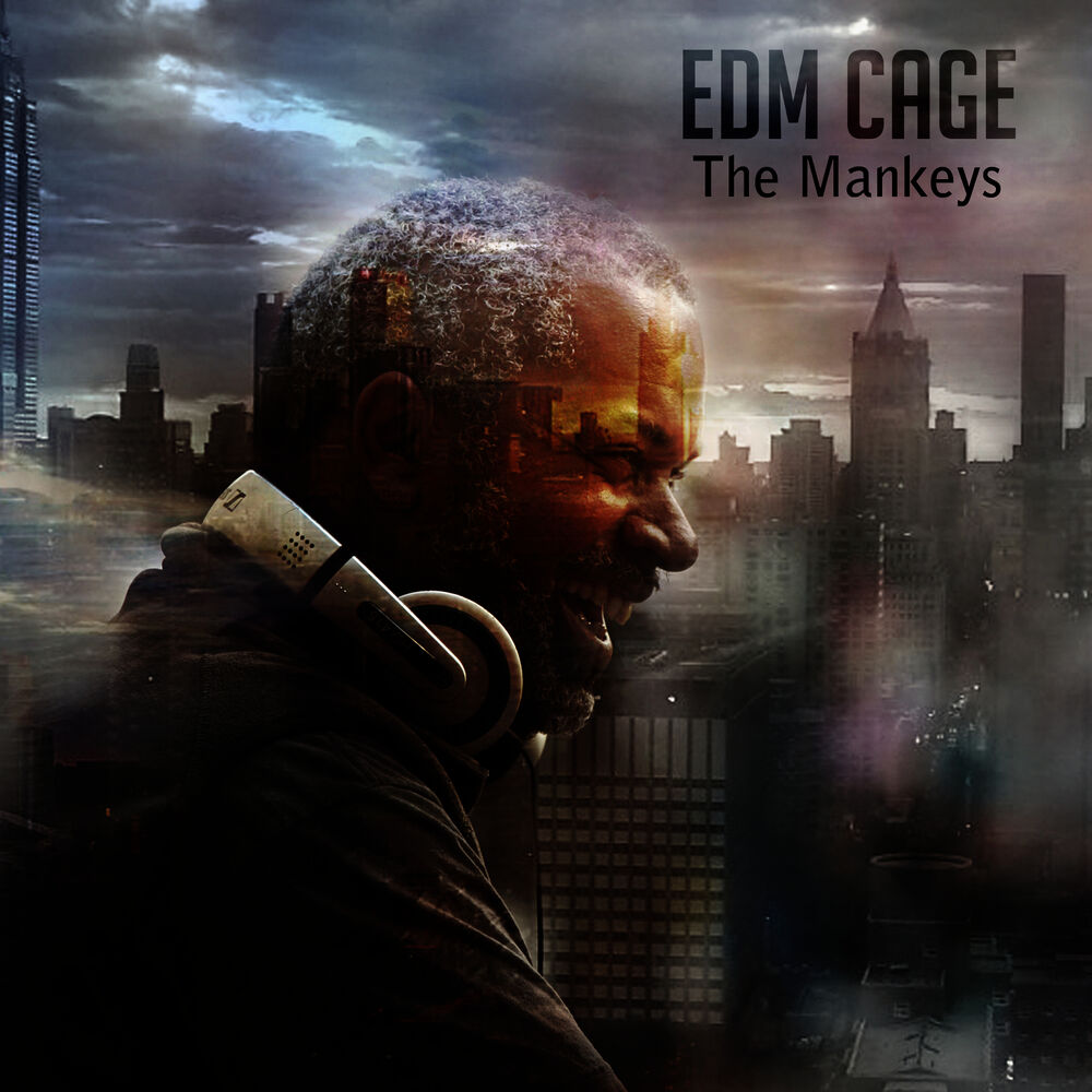 Picture of EDM Cage