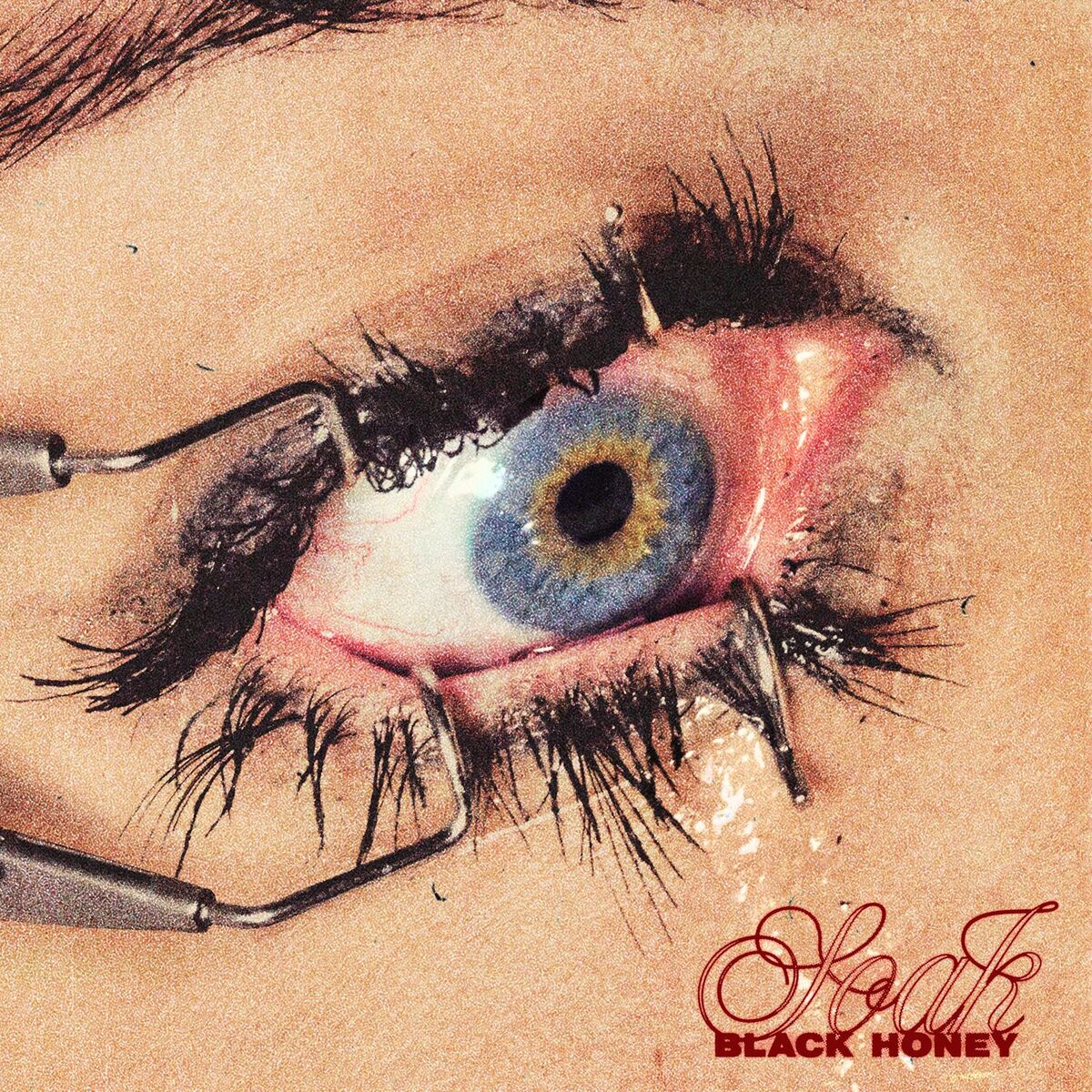 Album cover of Insulin