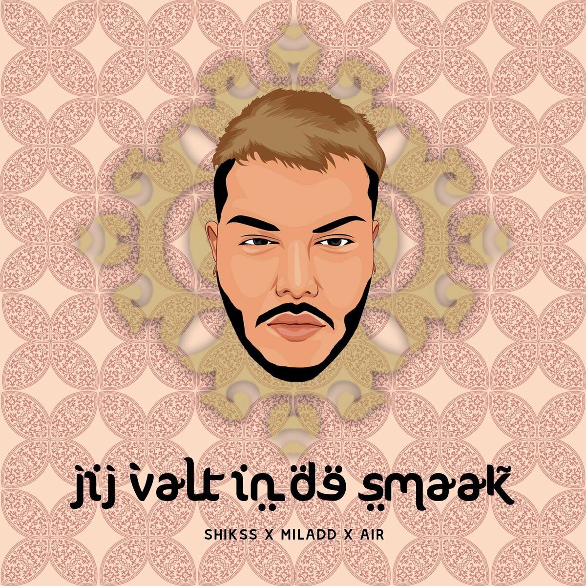 Album cover of Jij Valt in de Smaak (feat. Air and Miladd)