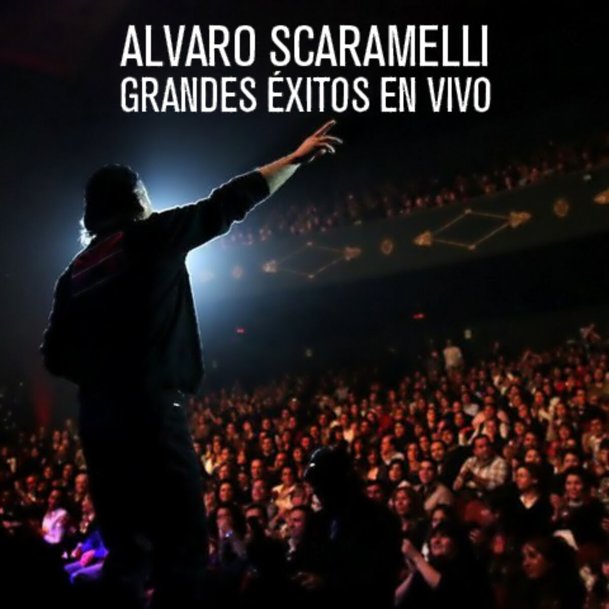 Album cover of Grandes Exitos en Vivo