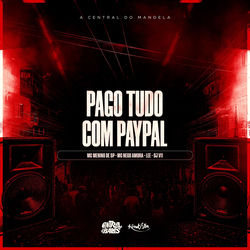 Cover of Pago Tudo Com Paypal by undefined