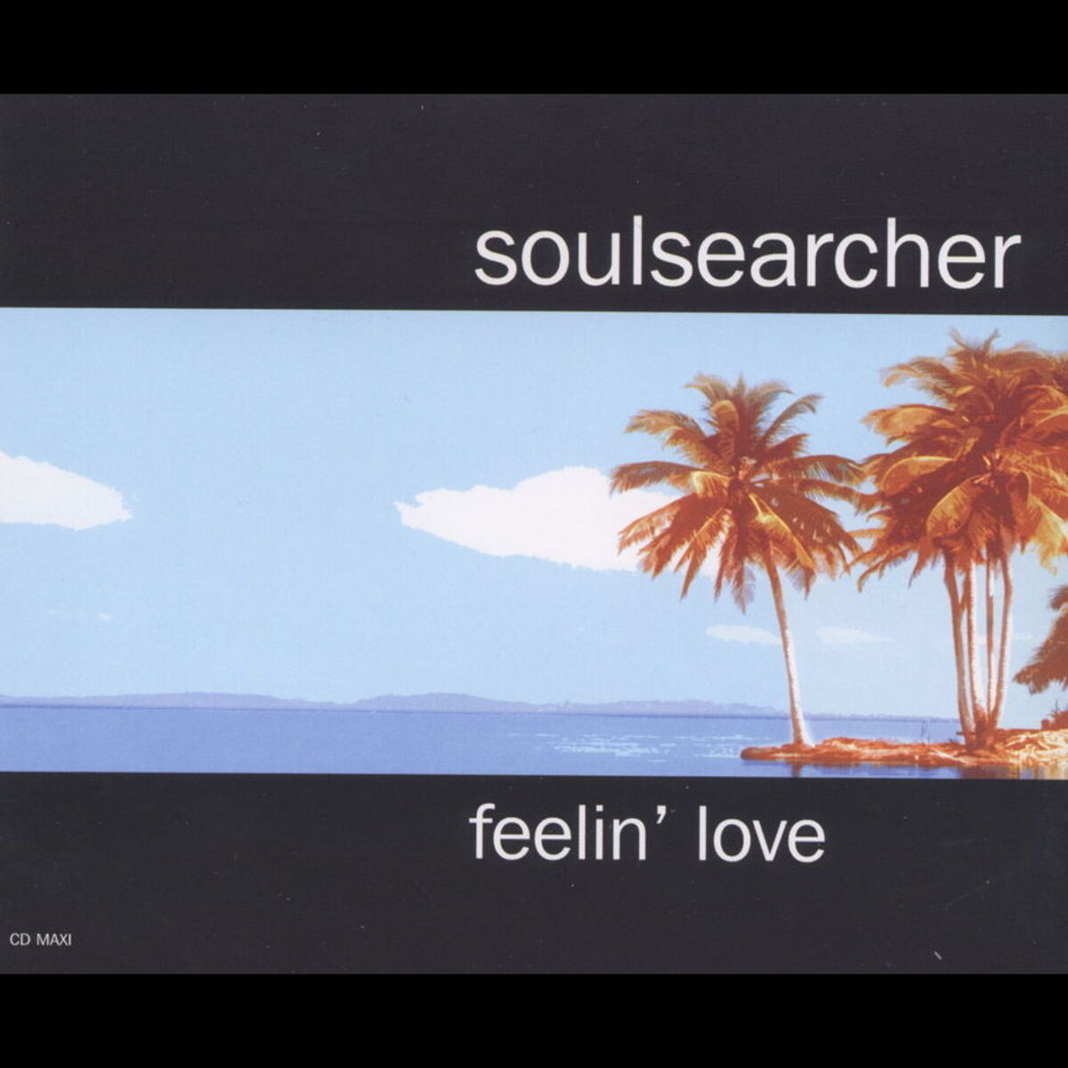 Album cover of Feelin love