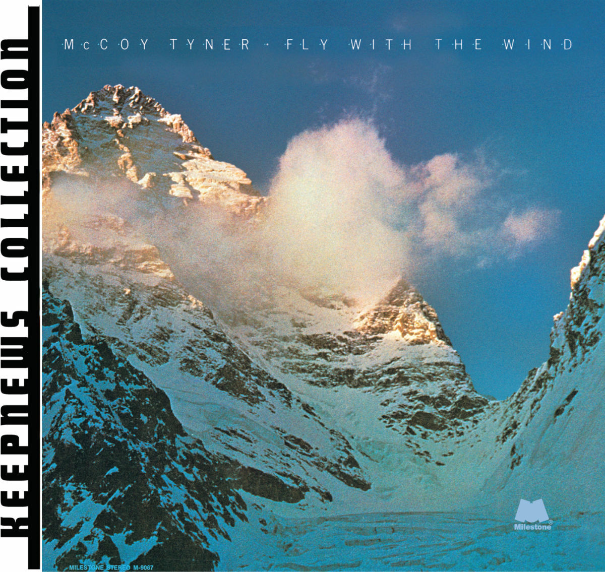 Album cover of Fly With The Wind