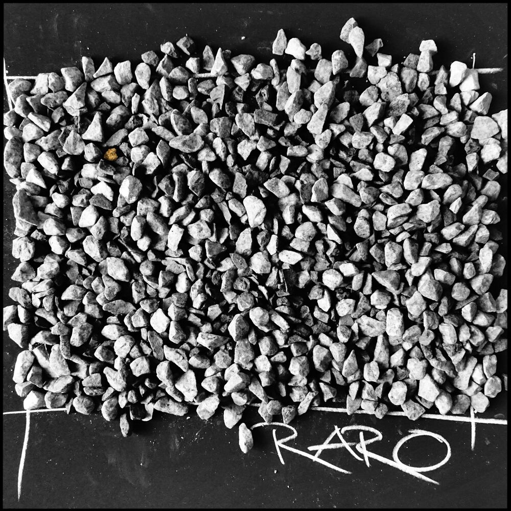 Picture of Raro