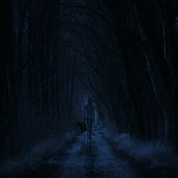 Cover of dreamscape