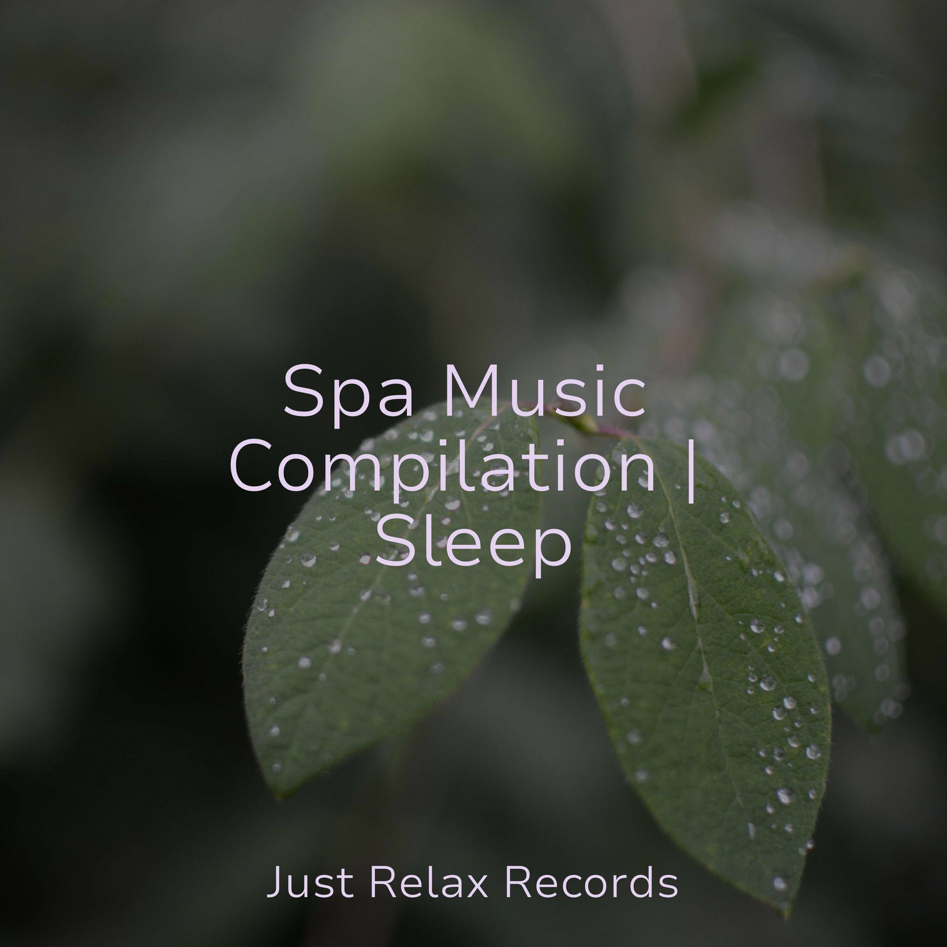 Album cover of Spa Music Compilation | Sleep