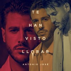 Cover of Te Han Visto Llorar