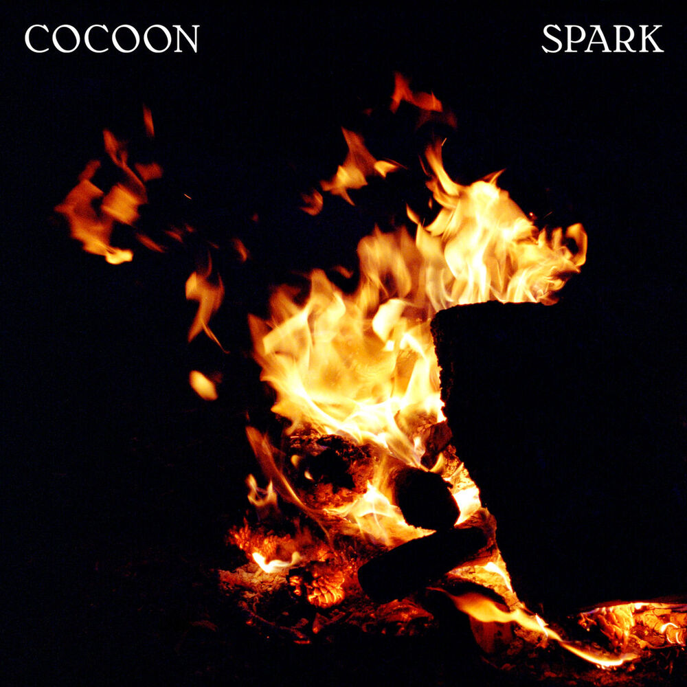 Picture of Spark