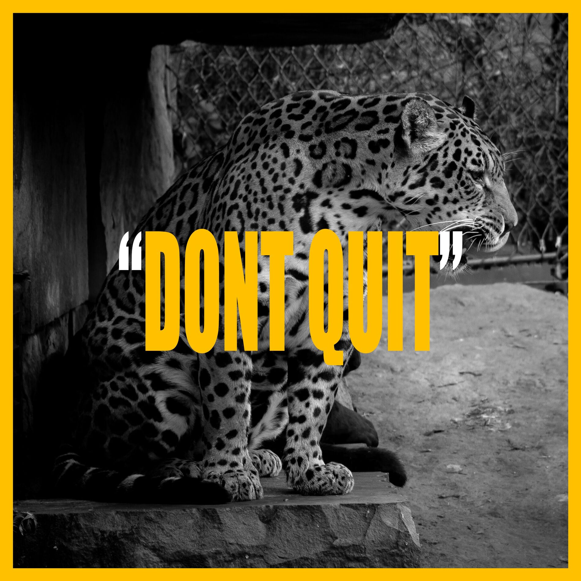 Album cover of DONT QUIT