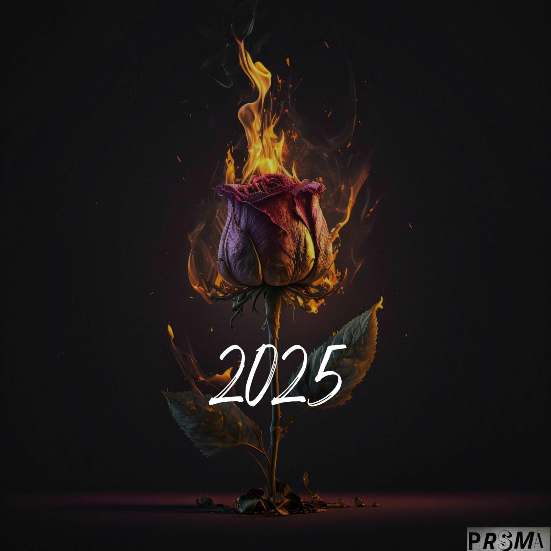 Album cover of 2025 (feat. Prisma) [Radio Edit]