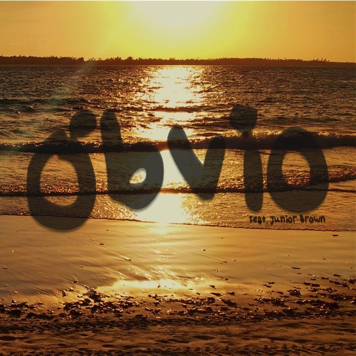 Album cover of Óbvio