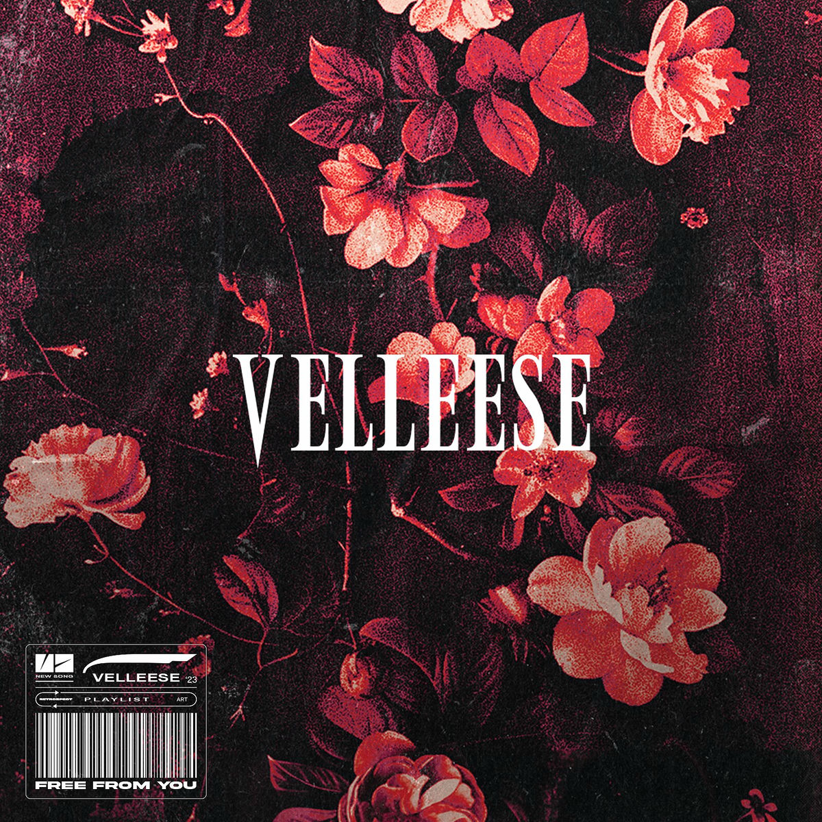 Album cover of Free From You (Studio Version)