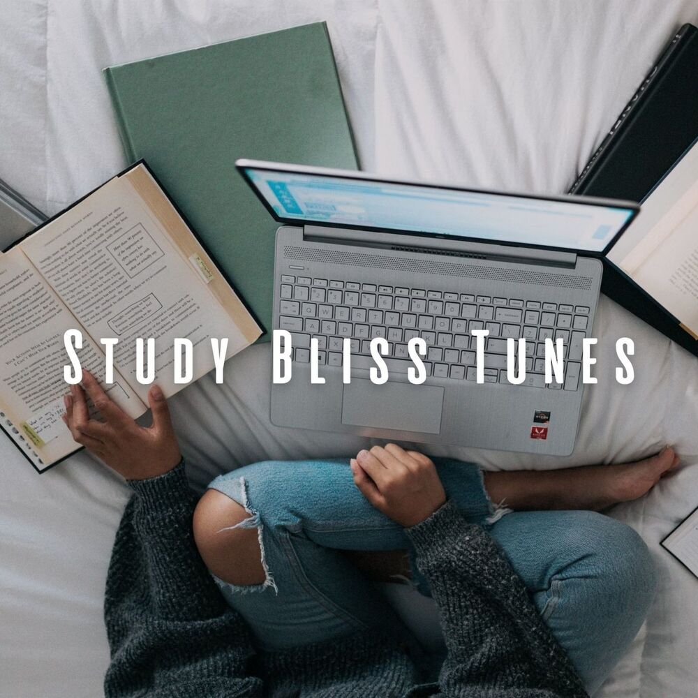 Picture of Study Bliss Tunes: Chill Music for Productive Hours