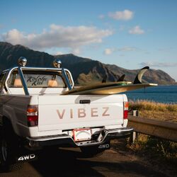 Cover of Vibez