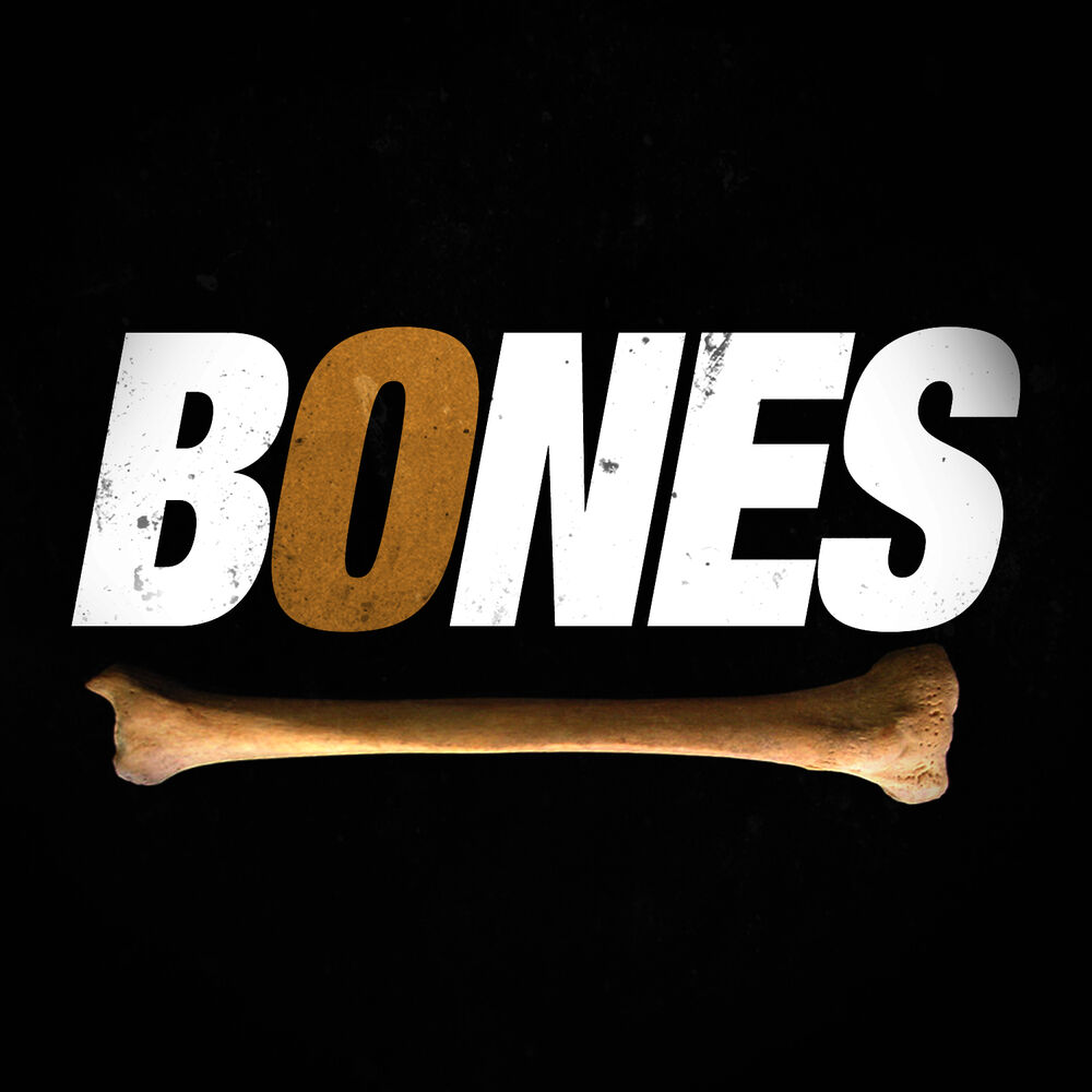 Picture of Bones (Générique / Thème Série Télé)