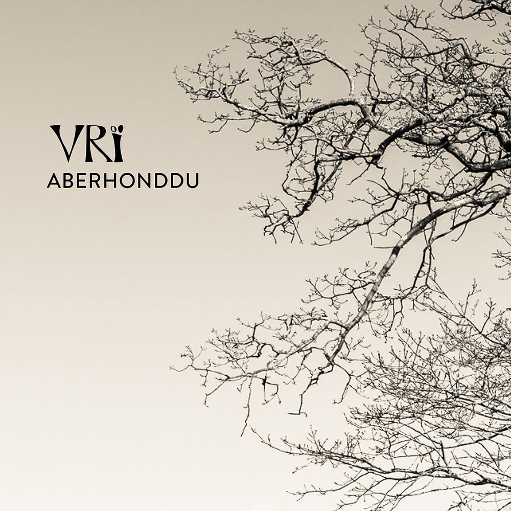 Picture of Aberhonddu