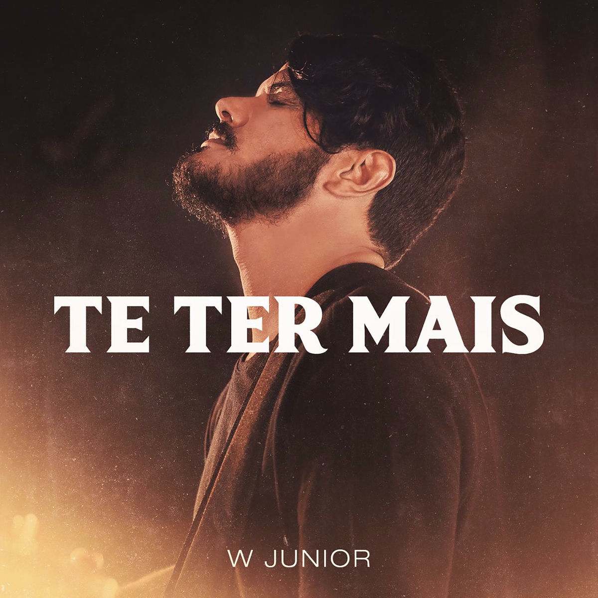 Album cover of Te Ter Mais