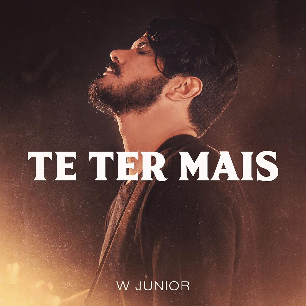 Album cover of Te Ter Mais