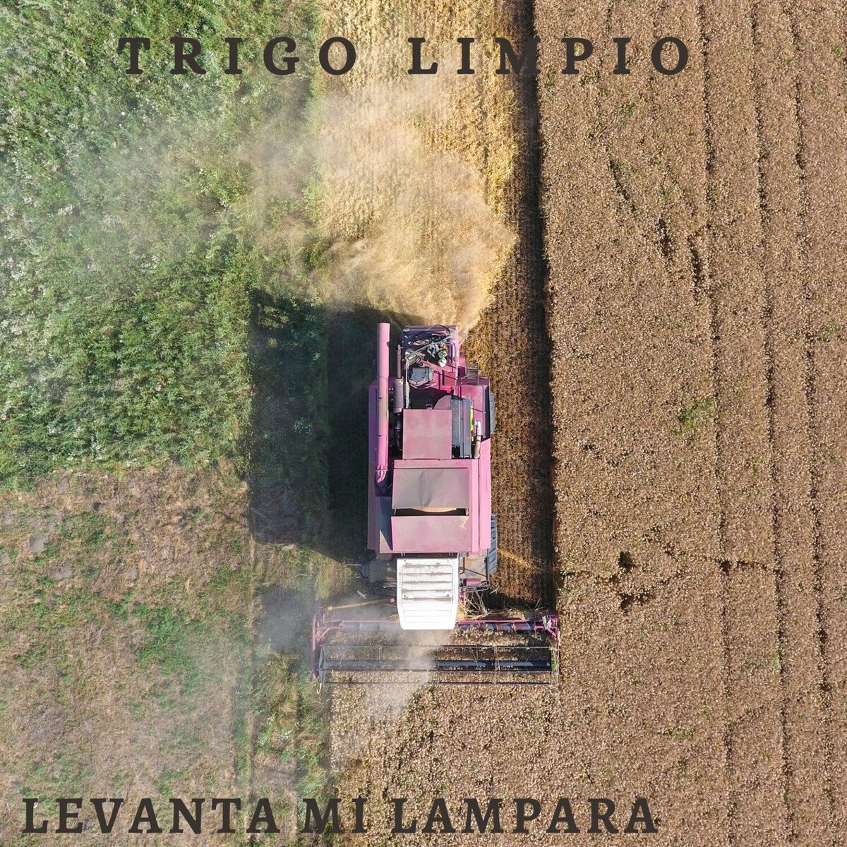 Album cover of Levanta Mi Lámpara
