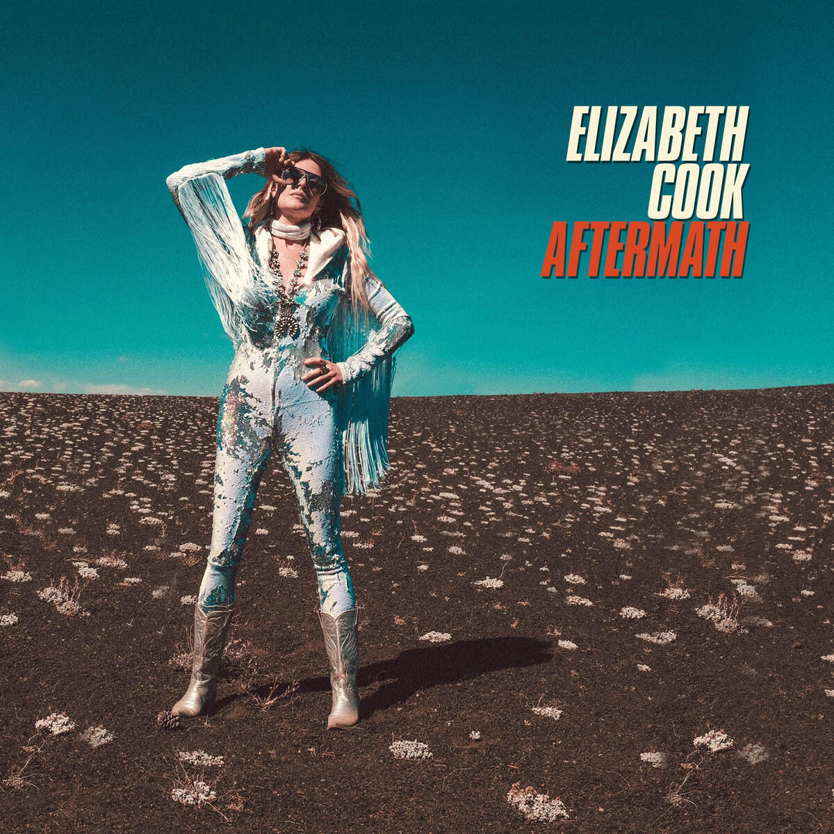Album cover of Aftermath