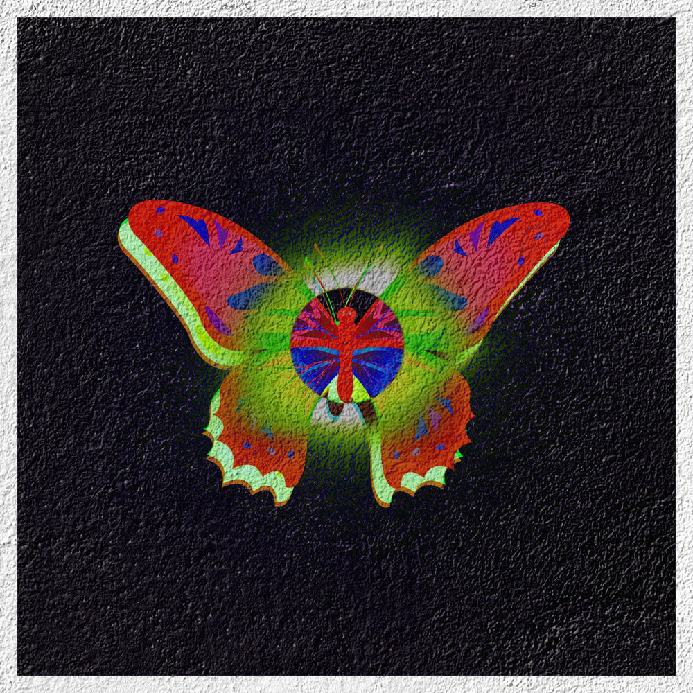 Ugly Butterflies sleeve
