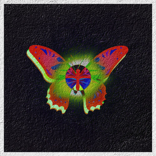 Ugly Butterflies sleeve