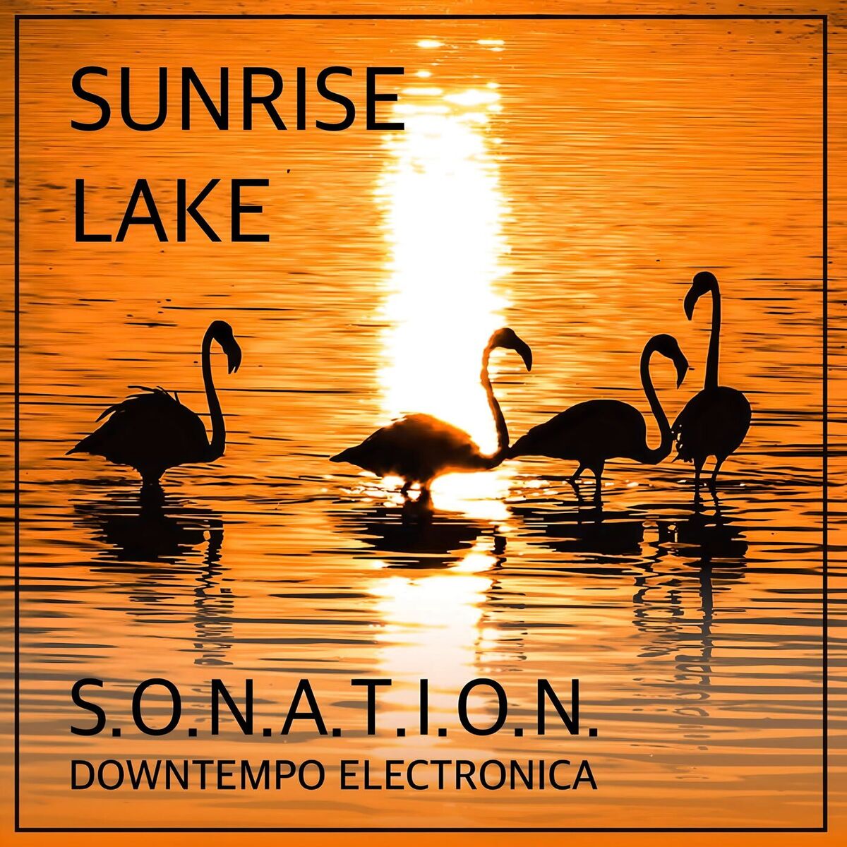 Album cover of Sunrise Lake
