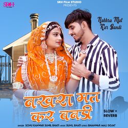 Cover of Nakhra Mat Kar Bandi (Slow + Reverb)