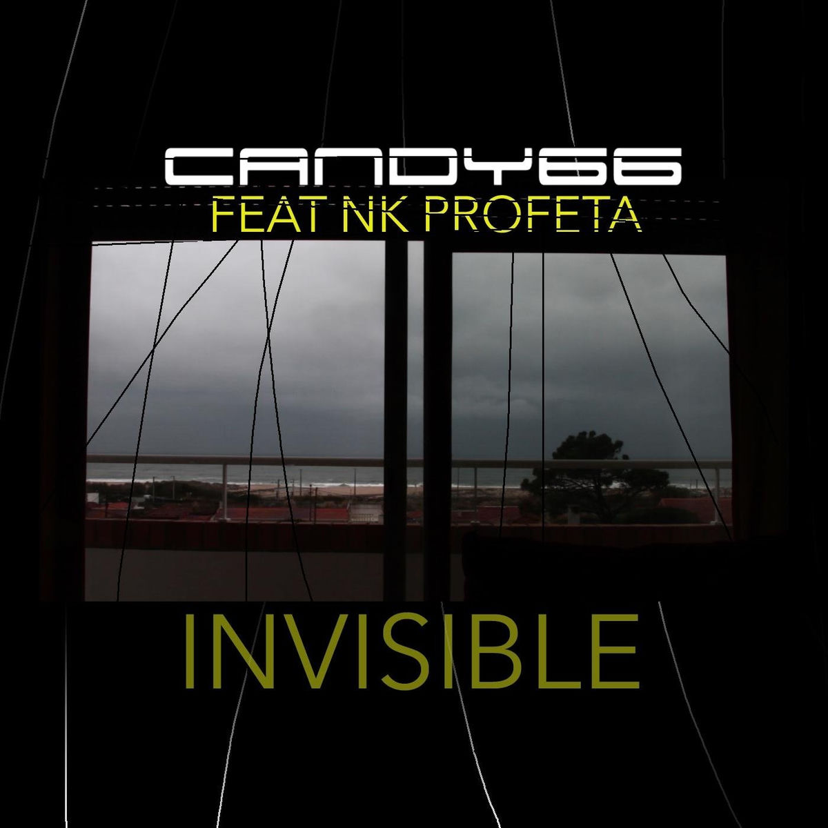 Album cover of Invisible