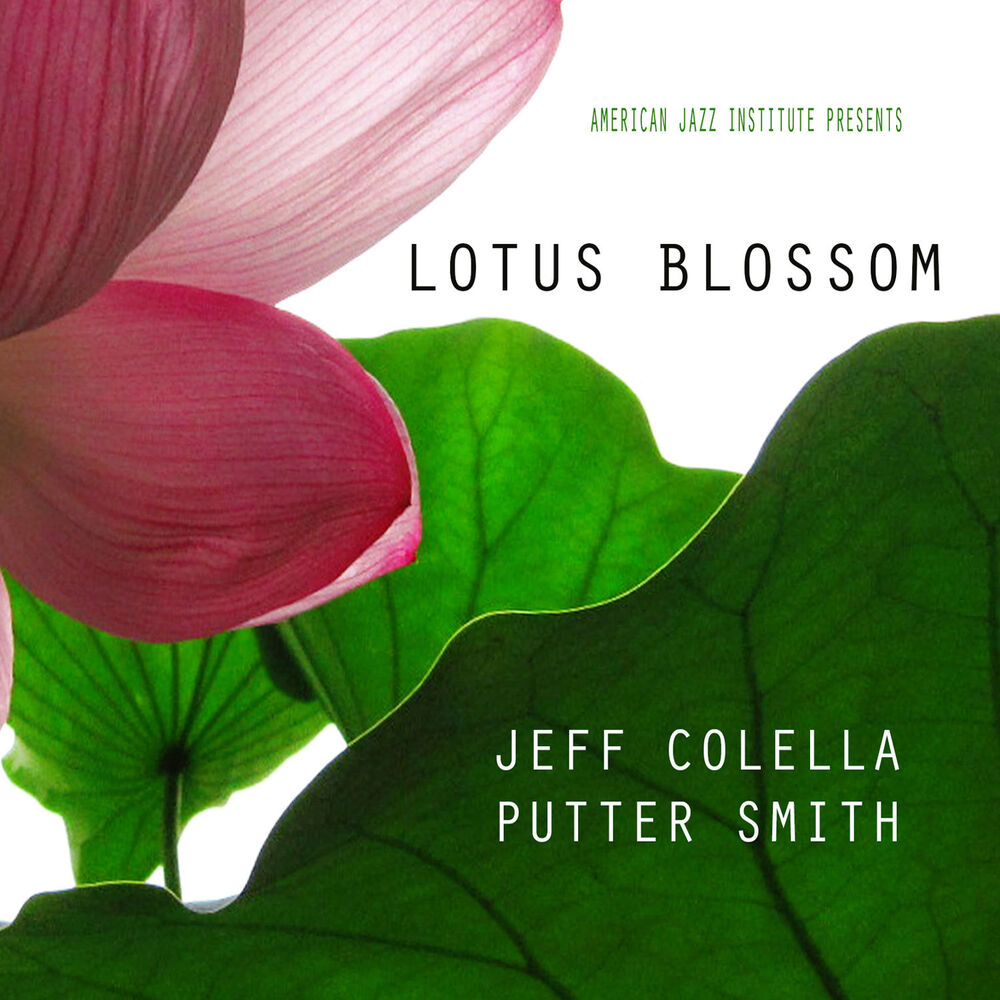 Picture of Lotus Blossom