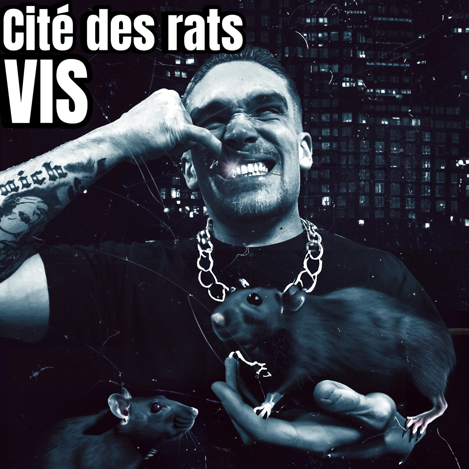 Album cover of Cité des rats