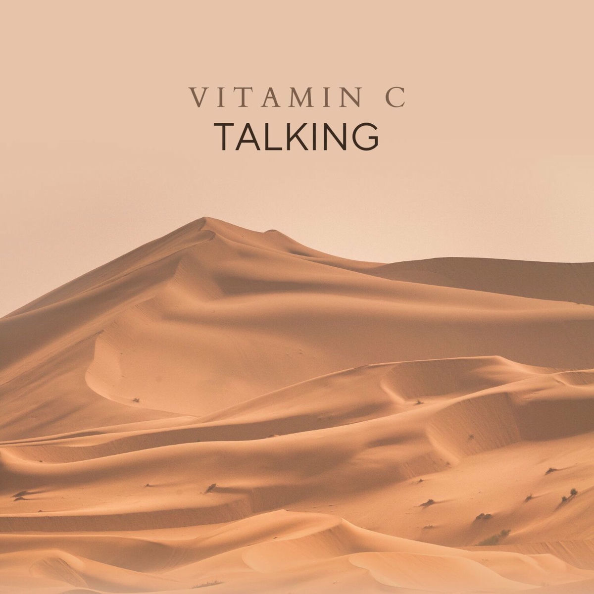 Album cover of Past Talk