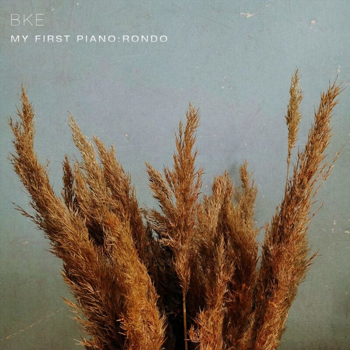 Album cover of my first piano: Rondo