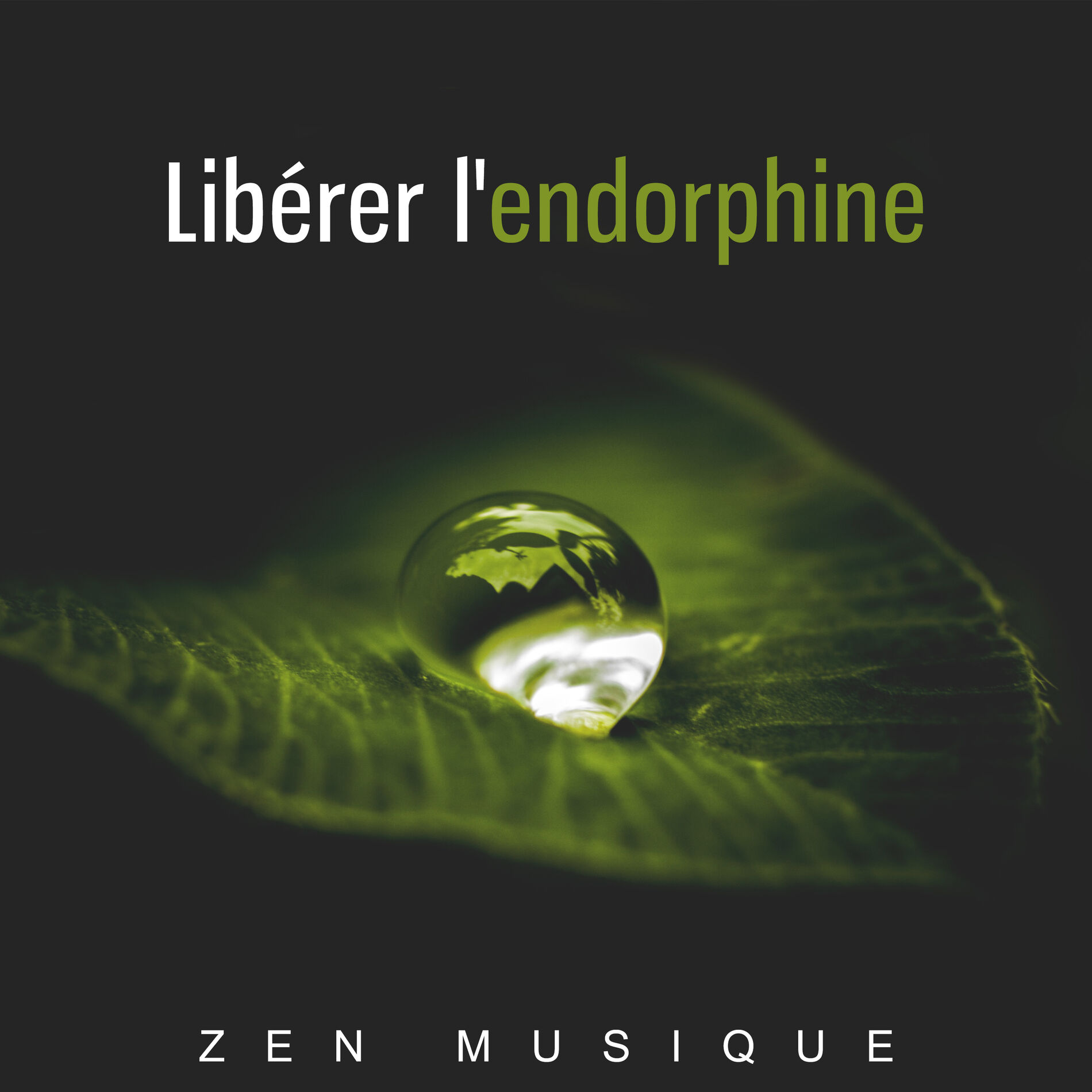 Album cover of Libérer l'endorphine - Zen musique et les sons de la nature le plus reposant et doux, Yoga, Relaxation, Bien-être, Allier le corps