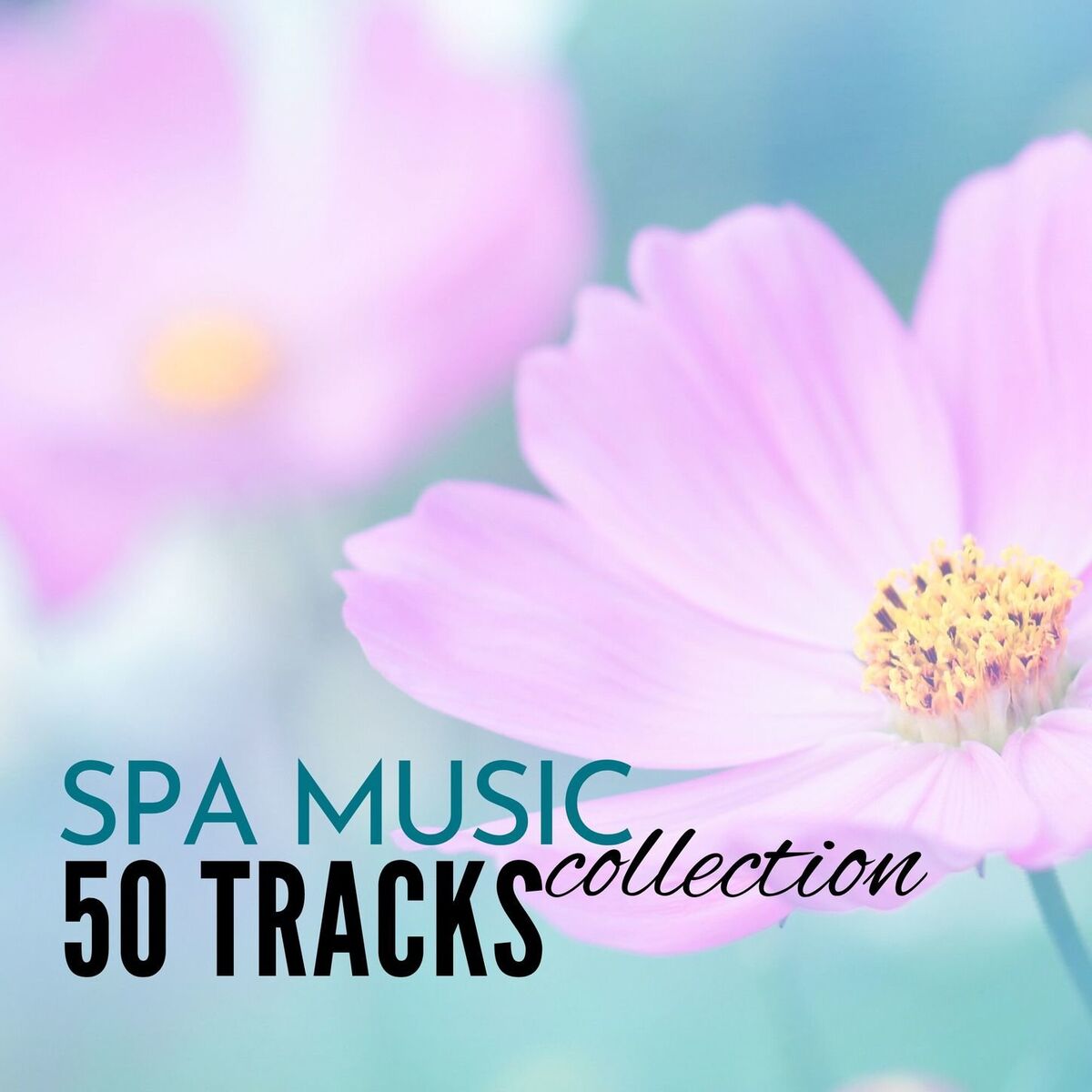 Album cover of Spa Music Collection: 50 Tracks of Soothing Sounds of Nature for Wellness Centers and Hotel Lounge