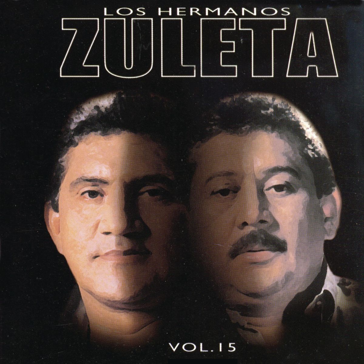 Album cover of Vol. 15