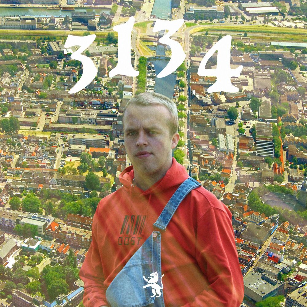 Picture of 3134