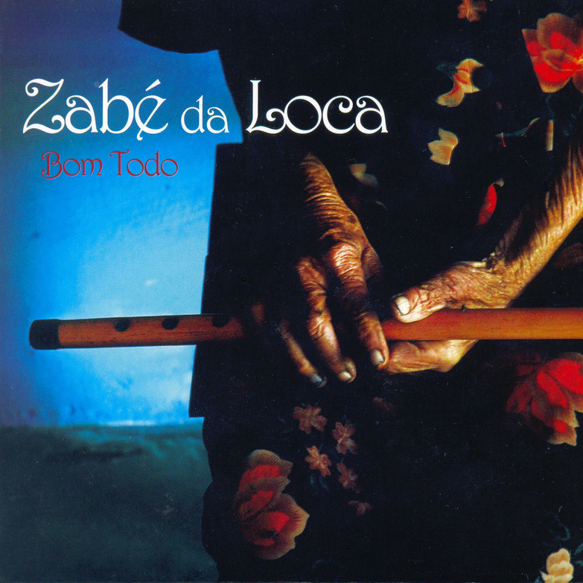 Album cover of Bom Todo