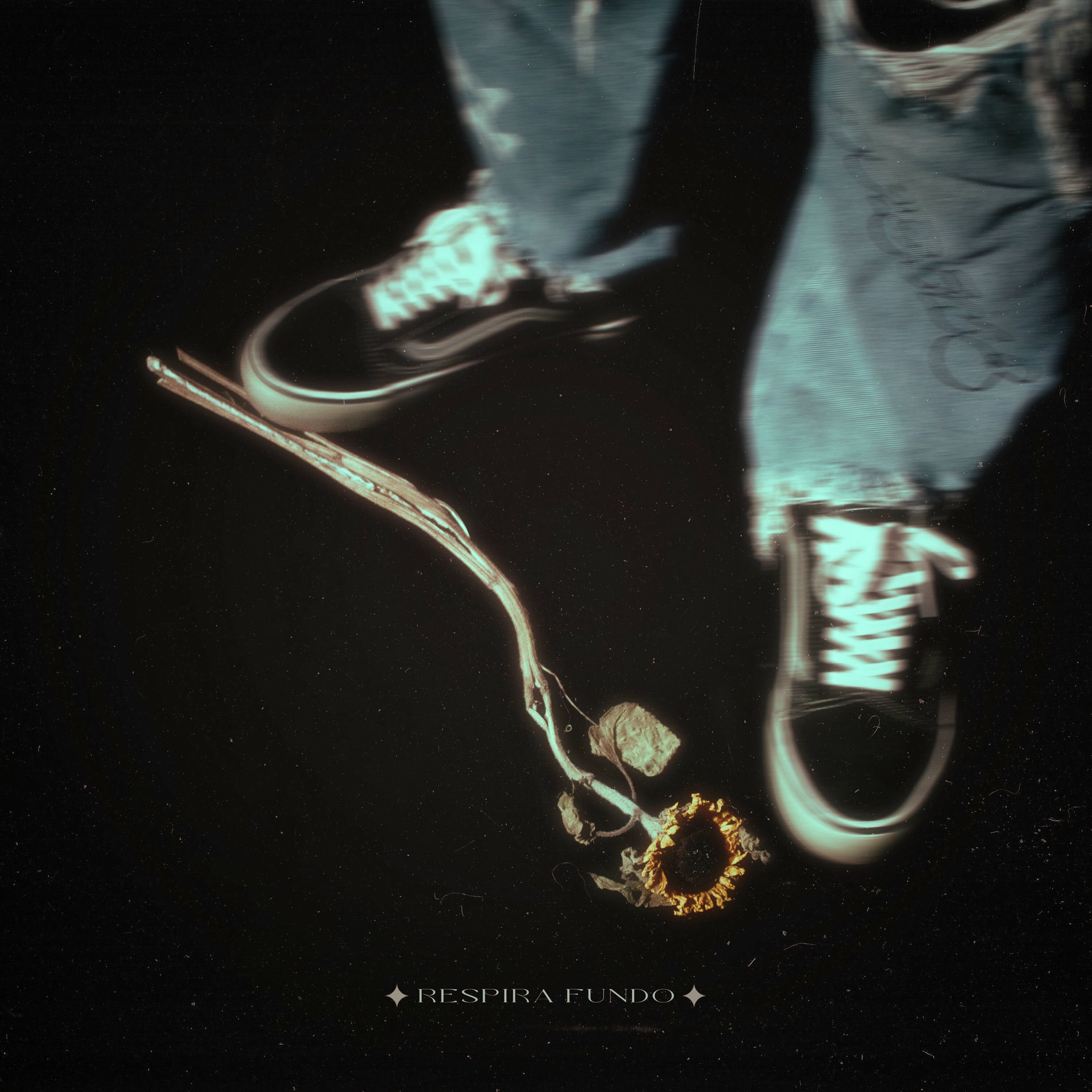 Album cover of respira fundo