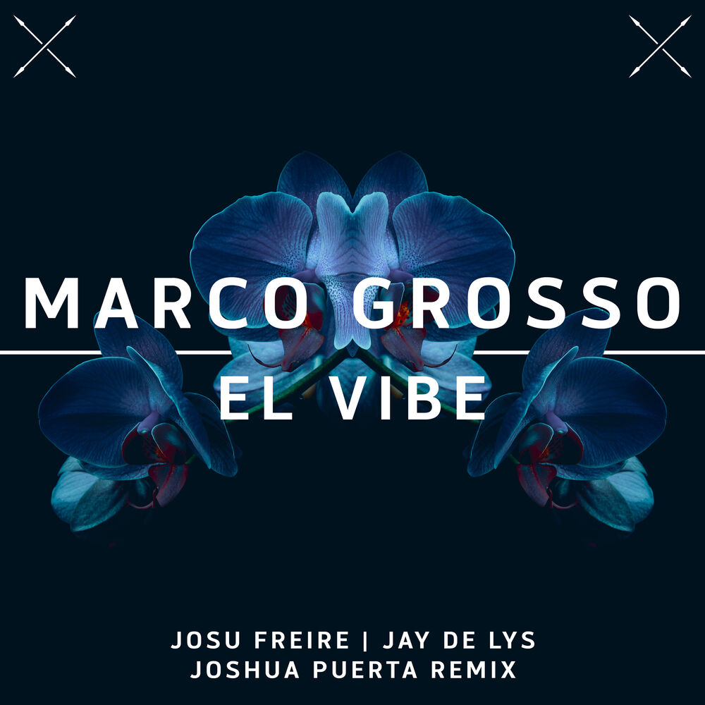 Picture of El Vibe