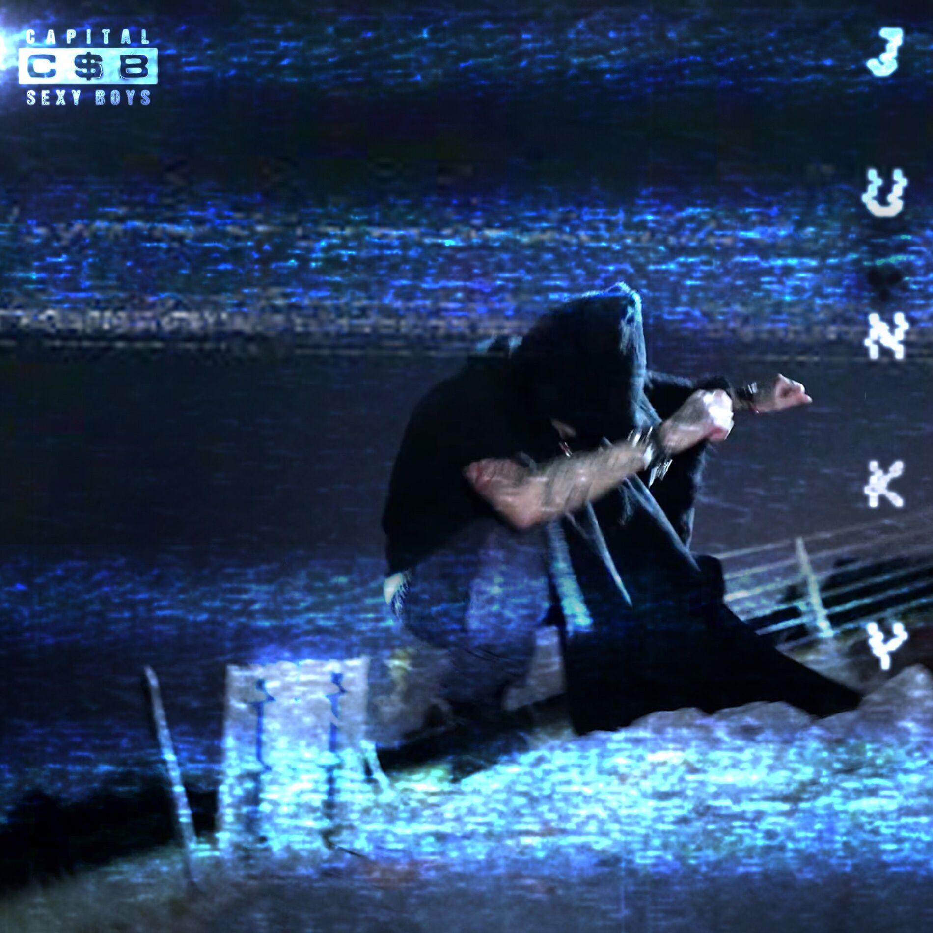 Album cover of Junky