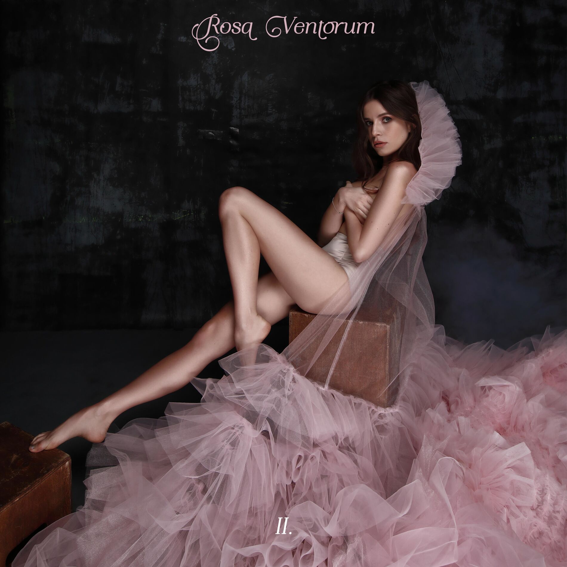 Album cover of Rosa Ventorum II