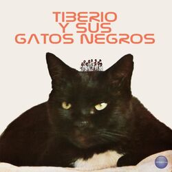 Cover of Se Enojó Carmenza