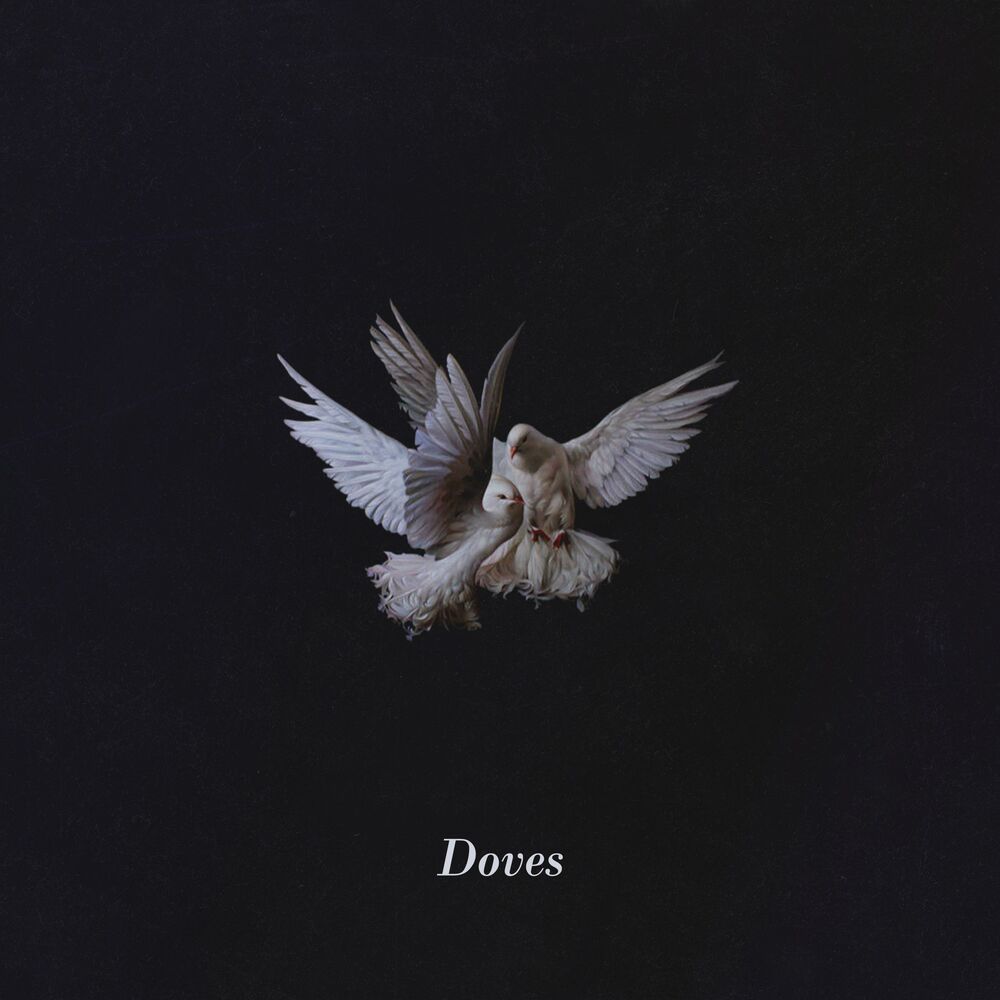 Picture of Doves