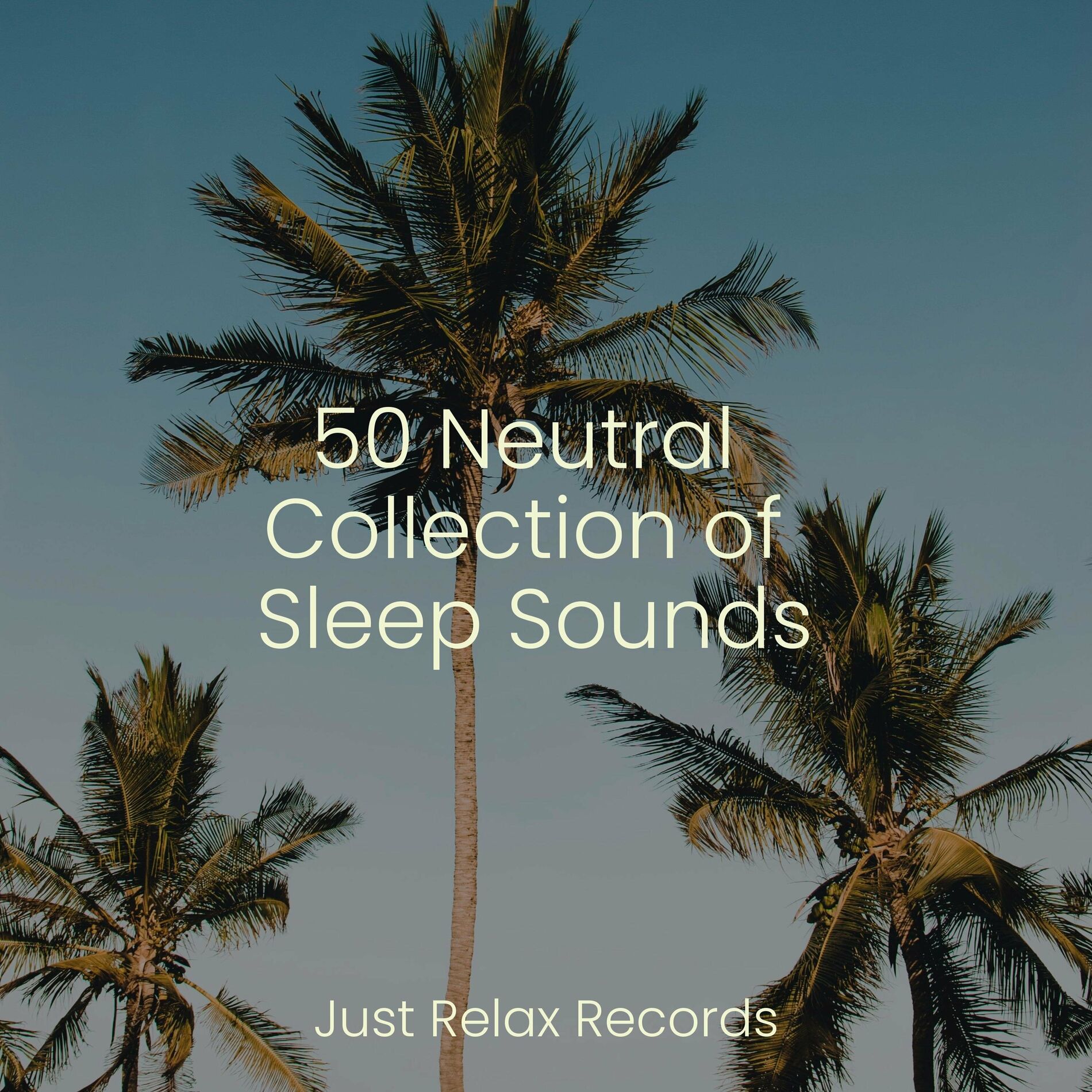 Album cover of 50 Neutral Collection of Sleep Sounds