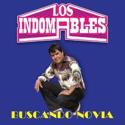 Cover of Buscando Novia